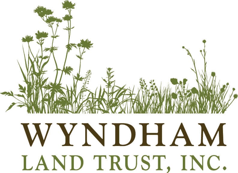 Thank you The Wyndham Land Trust