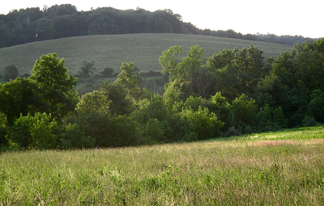 Duck Marsh by Jim Goodwin