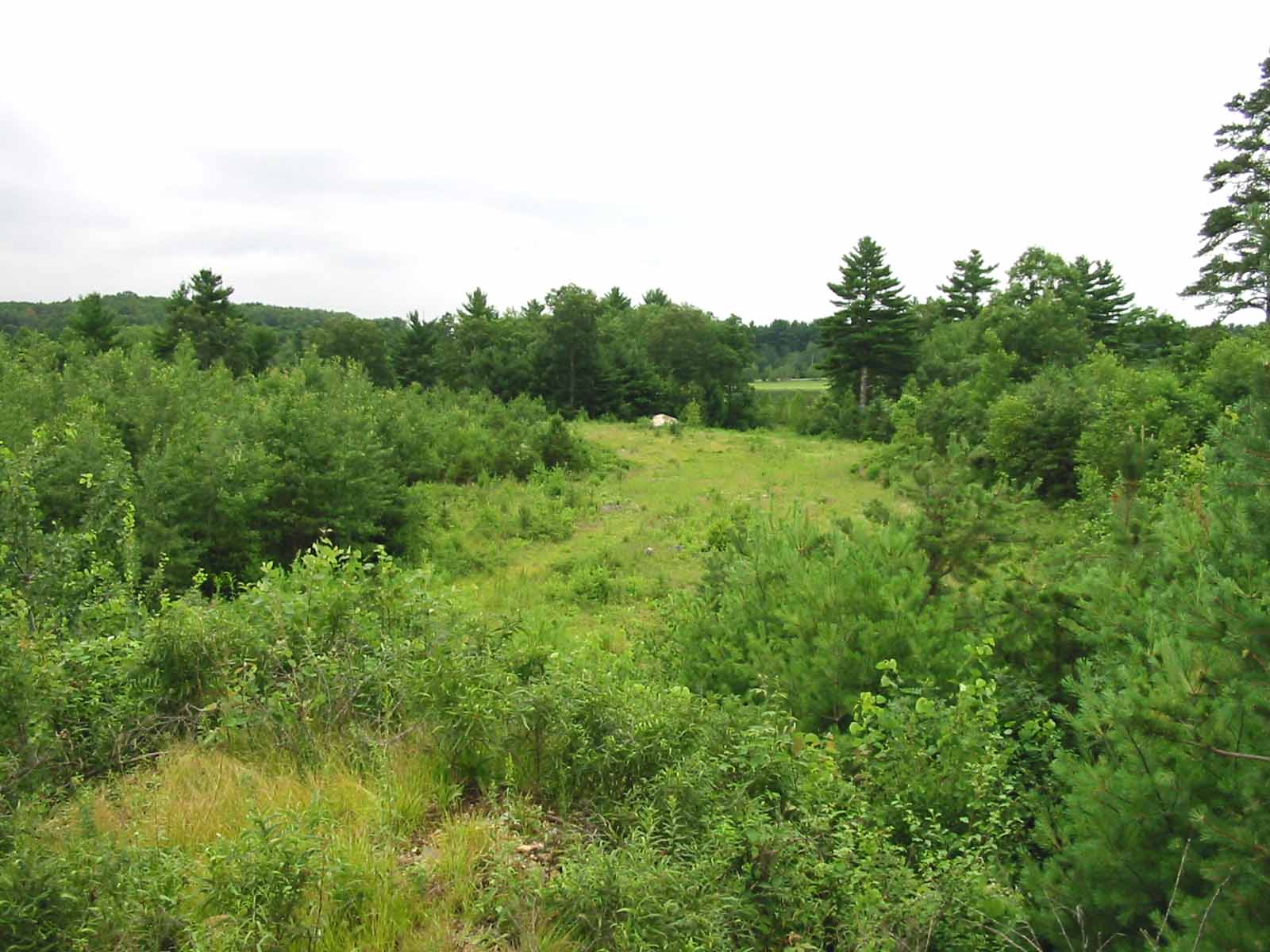 O’Leary Preserve The Wyndham Land Trust