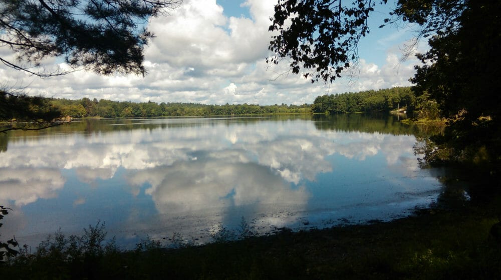 Roseland Lake