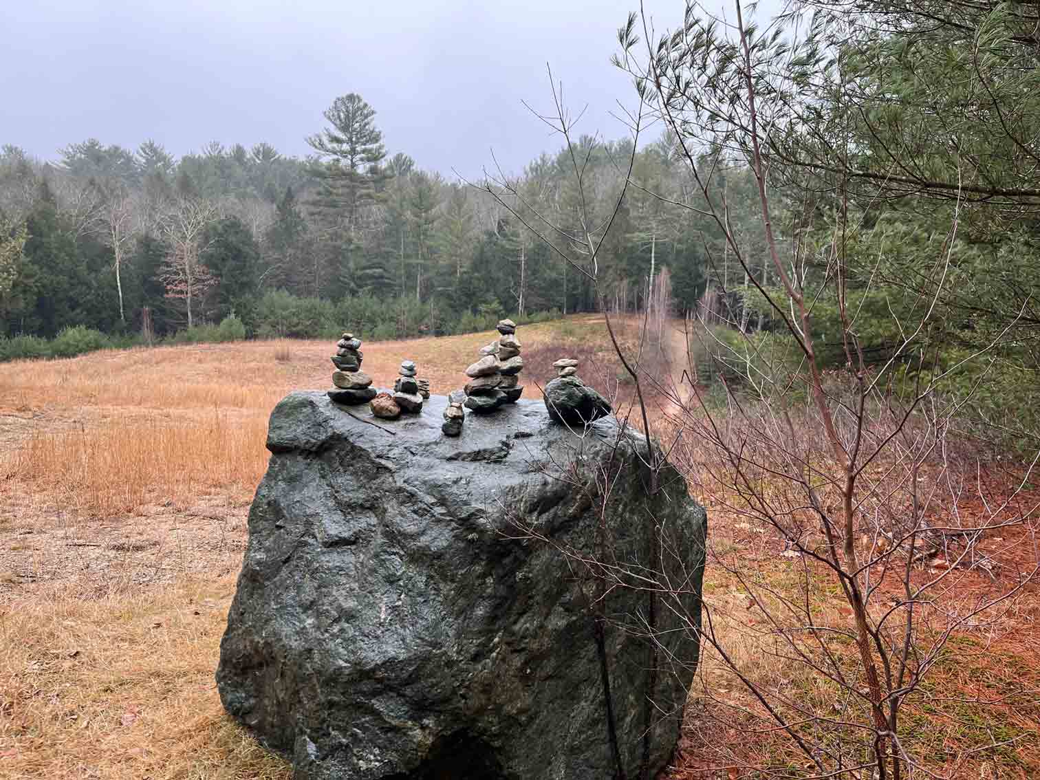 At the Robbins Preserve - Large glacial erratic with little cairns on top.
