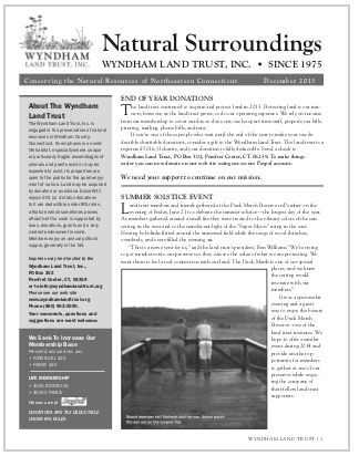 WLTDec2013 Newsletter