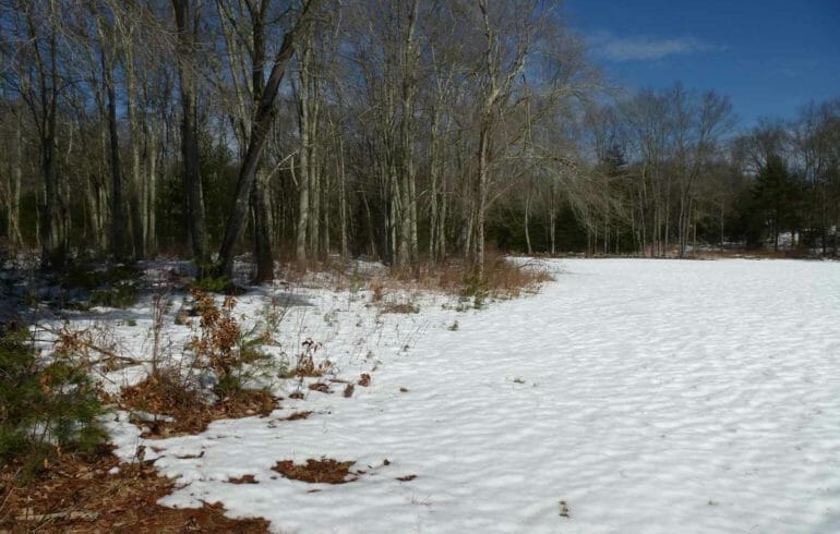 Rainville meadow with snow