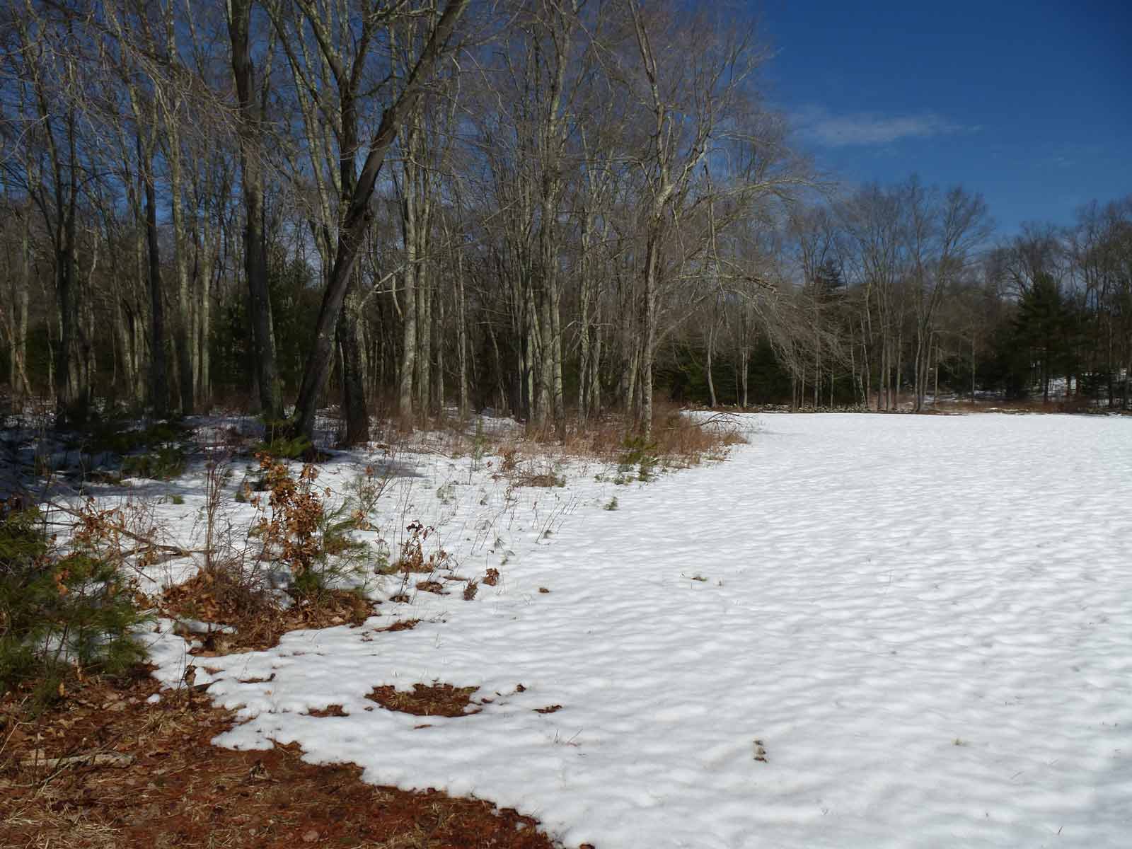 Rainville meadow with snow