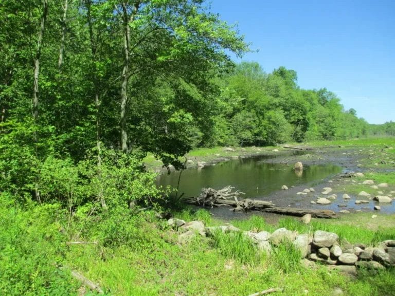 Dam-gone-2014-e1544717813548