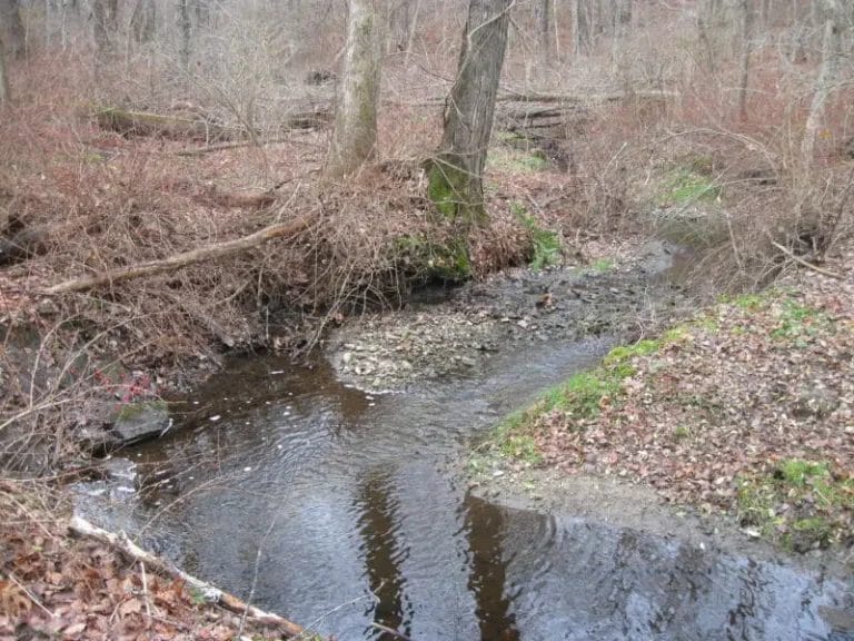 IMG_6362-e1544707708274