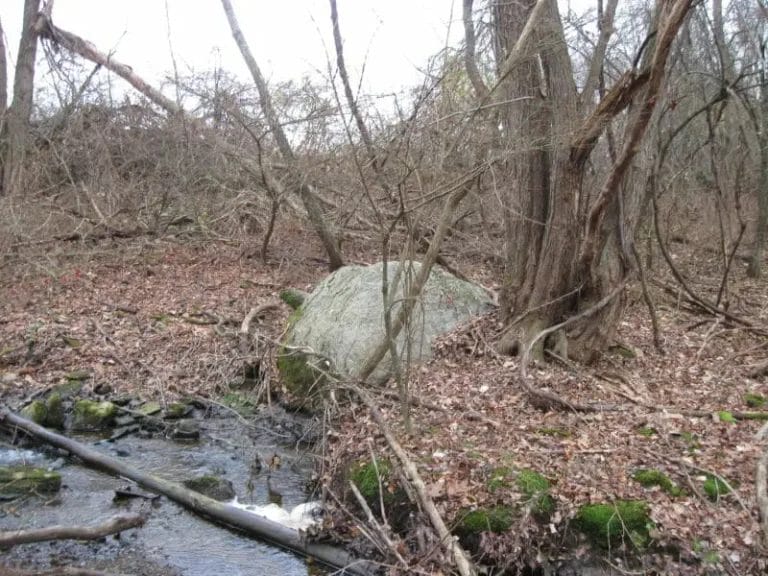 IMG_6363-e1544707674384