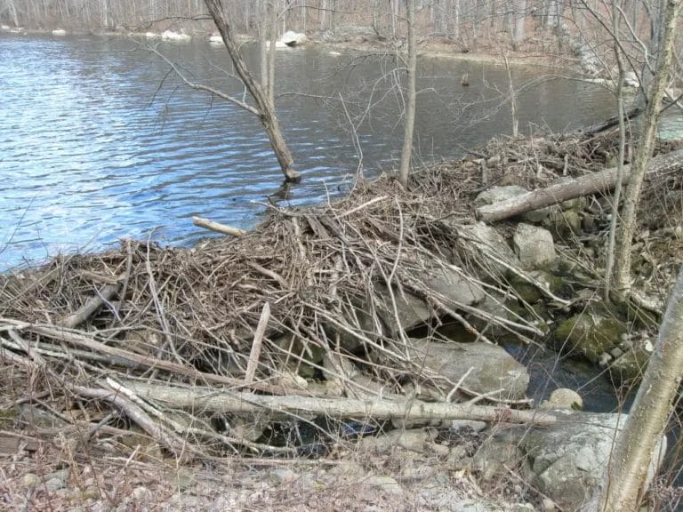 IMG_7063-e1544717550188