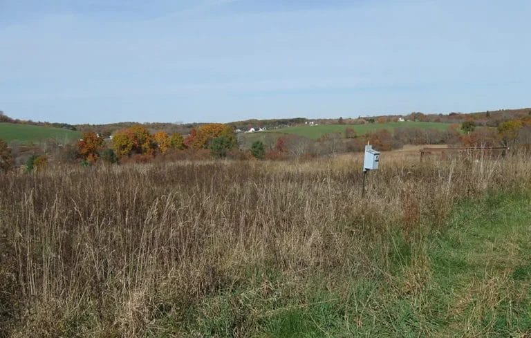 IMG_7940_RonTillen-1