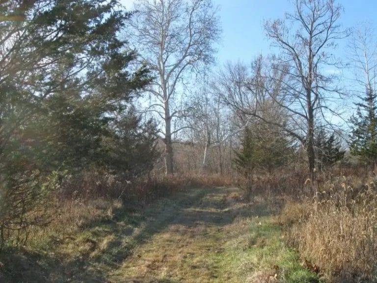 Lyon-path-1-e1544717959671