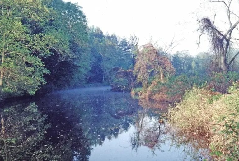 Mashamoquet-Brook-e1544717974304