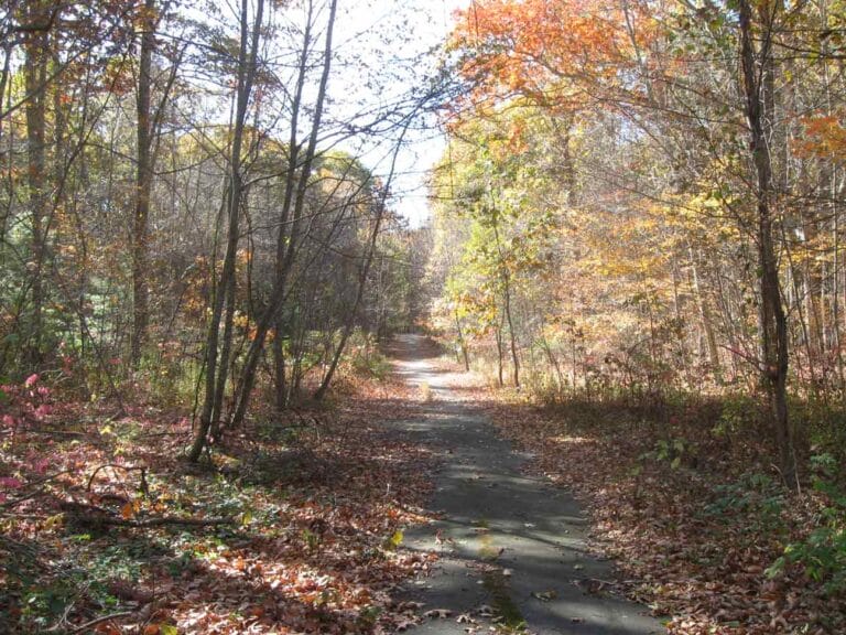 Bosworth-Kenneth-lane